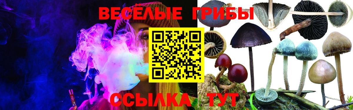 Петрозаводск  Псилоцибиновые грибы ЛСД  Вход с VPN 